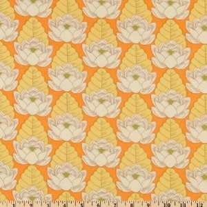  45 Wide Amy Butler Lotus Pond Tangerine Fabric By The 