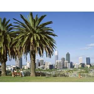  Palm Trees and City Skyline, Perth, Western Australia 