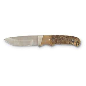  Bear & Sons Ram Horn Drop   point Hunter Knife Sports 