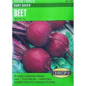  Beets Ruby Queen Seeds 200 Seeds Patio, Lawn & Garden