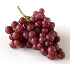 FREEZE DRIED Grapes Survival Food Emergency Fruit Case  