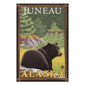 Black Bear in Forest, Juneau, Alaska Giclee Poster Print, 36x48