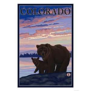 Black Bear and Cub   Colorado Premium Poster Print, 24x32