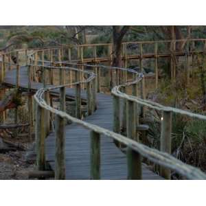  Walkway in Mombo Camp, Chiefs Island, Okavango Delta 