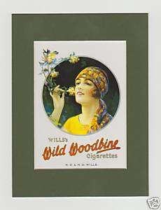 MOUNTED POSTCARD   WILLSS WILD WOODBINE CIGARETTES  