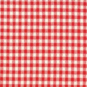Fabric ~ OOPS A DAISY ~ by Keiki MODA Gingham / Red   by the 1/2 yard 