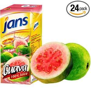 Jans Guava Exotic Tropical Juice, 8.45 Ounce (Pack of 24)  