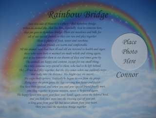   print we can create the perfect gift the beautiful rainbow bridge poem