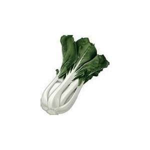    100 HEIRLOOM Chinese Cabbage (bok choy ) SEEDS 