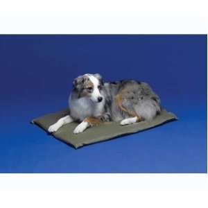  Allied Precision Kool Mat Pet Bed, Medium Cool Surface 