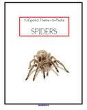SPIDERS Theme Preschool Daycare Curriculum BIG 106 pgs  