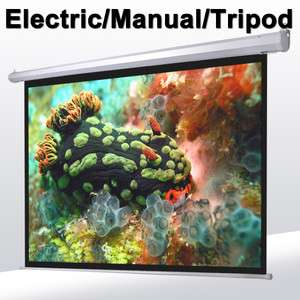 Manual/Electric/Tripod Projector Projection Screen Pull Down/Motorized 