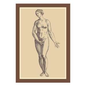  Woman by Andreas Vesalius, 24x32