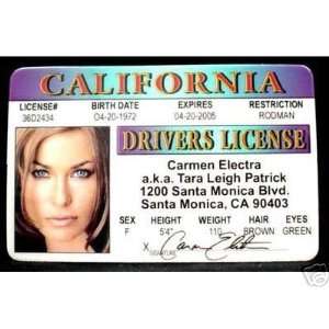 Carmen Electra   Collector Card