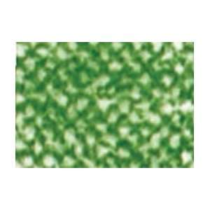    Holbein Soft Pastel Individual   Moss Green Arts, Crafts & Sewing