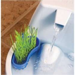 Jardín Wheatgrass de fuente +Aqua de mascotas de platino de Drinkwell