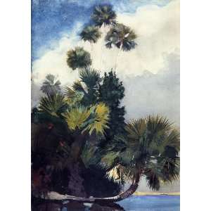 Hand Made Oil Reproduction   Winslow Homer   32 x 46 inches   Palm 