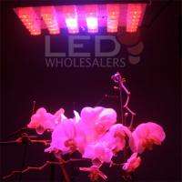 660 nm RED + 450 NM Blue hydroponic LED GROW LIGHT  