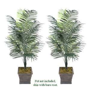  TWO 6 Artificial Dwarf Areca Palm Trees, with No Pot 