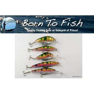  Lot of 5 Color Themed Fishing Lure Crankbaits for Northern 