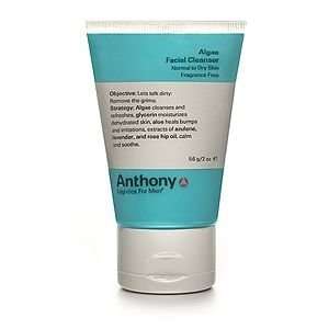  Anthony Logistics for Men Algae Facial Cleanser, 1 ea 