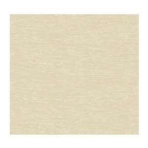   Wallcoverings Artistry FV2187 Silk Nub Texture Wallpaper, Beige Silver