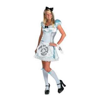 Alice Adult Costume.Opens in a new window