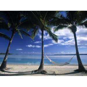  Palms and Hammock, Akitua Motu, Aitutaki, Cook Islands 