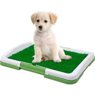 Puppy Potty Trainer   Indoor Grass Training Patch   The Indoor 