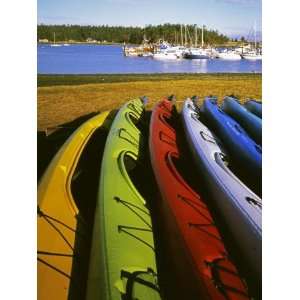  Sea Kayaks, Fisherman Bay, Lopez Island, Washington, USA 