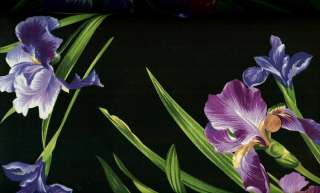 PRIMAVERA IRIS LARGE BLOOMS ON BLACK FABRIC   MILLER  