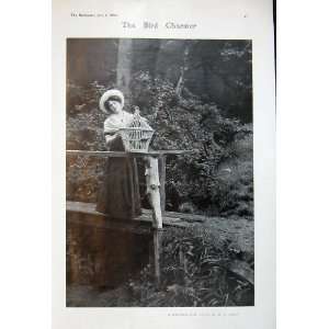  1905 Bird Charmer Photograph Woman Cage Bridge River