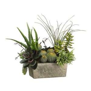  18 Succulents Plant Arrangement with Terra Cotta Pot 