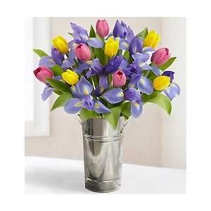 Flowers by 1800Flowers   Fanciful Tulip & Iris with Free Premium Vase 