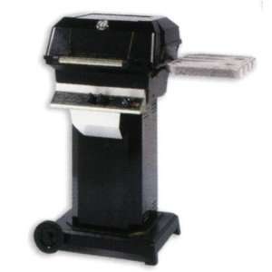   JNR Gas Grill on Black Portable Base   LP Patio, Lawn & Garden