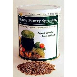   Rye Seed / Grains for Flour, Bread, Sprouting, Rye Grass & More. by