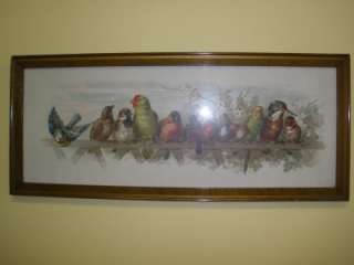 Paul de Longpre Print OUR FEATHERED PETS Parrots Birds Flowers 