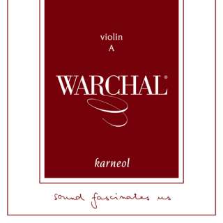 WARCHAL Ametyst Professional Violin Strings SET NEW  