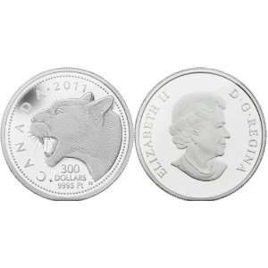    Canada 2011 $300 Cougar 1oz Platinum Proof Coin Toys & Games
