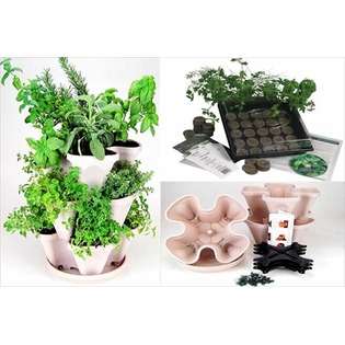 HerbKits Indoor Herbal Tea Herb Garden Starter Kit + Mini Garden 